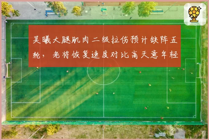 吴曦大腿肌肉二级拉伤预计缺阵五轮，老将恢复速度对比高天意年轻十岁同伤情快出一倍引发质疑